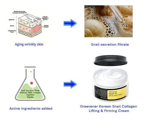 Korean Snail Collagen Lifting & Firming Cream